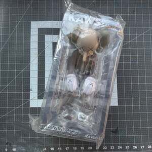 Brand New Kaws Small Lie Companion